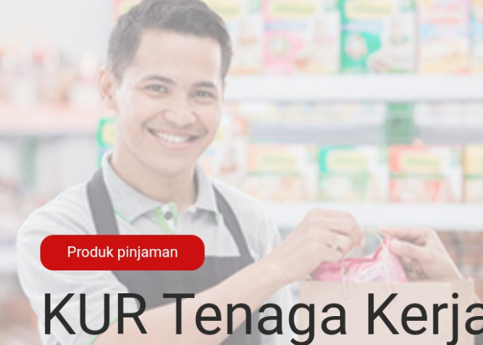 KUR TKI Bank Sinarmas, Kredit Tanpa Agunan Untuk Pahlawan Devisa Indonesia, Limit Pinjaman Hingga Rp25 Juta