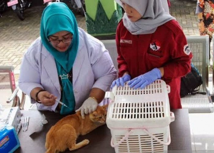 Meningkatnya Kasus Gigitan HPR di Mukomuko, Dinkes Galakkan Vaksinasi dan Edukasi