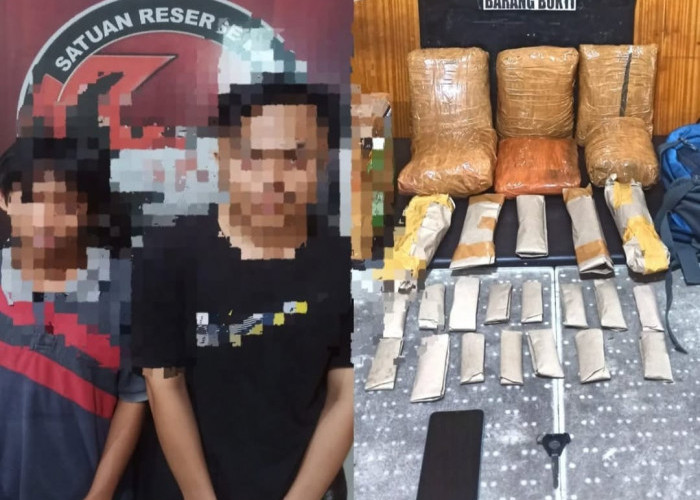 Edarkan Puluhan Paket Ganja di Kota Bengkulu, 2 Pemuda Asal Seluma Diringkus Polisi