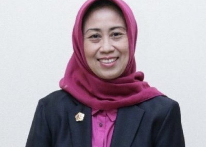 Dr Ninik Rahayu, Ketua Dewan Pers 2022-2025 Terpilih, Ini Profilnya