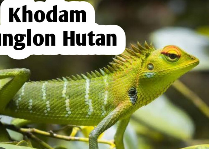 Khodam Bunglon Hutan, Punya Perlindungan Istimewa