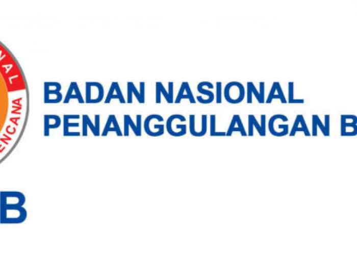 Hasil Seleksi Administrasi Pengadaan PPPK Tenaga Teknis BNPB Formasi Tahun 2022