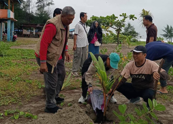 Pemkot Bengkulu Awali 2026 dengan Aksi Serentak Perawatan Kelapa di Pantai Panjang