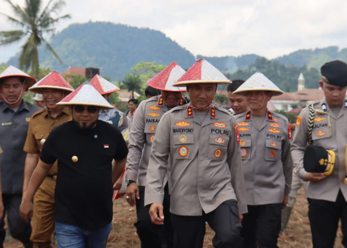 Polda Bengkulu Tanam Jagung Unggul Bhayangkara Merah Putih di Kepahiang, Dukung Ketahanan Pangan Nasional