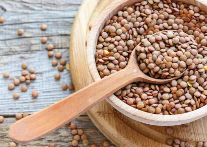 Lentil: Si Mungil yang Punya Banyak Khasiat dan Manfaat