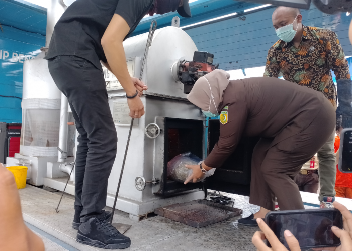 BNNP Bengkulu Musnahkan 2 Kg Ganja Dari Tangan Mahasiswa 