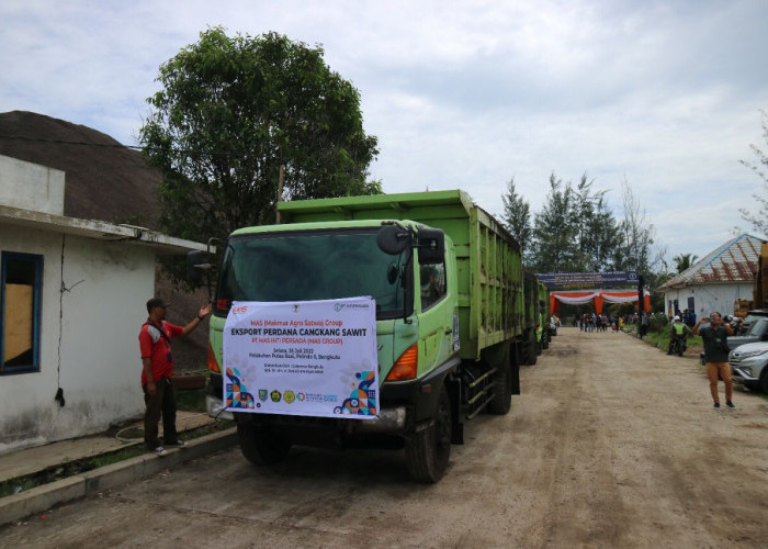 8.500 Ton Cangkang Sawit dari Bengkulu Diekspor ke Thailand