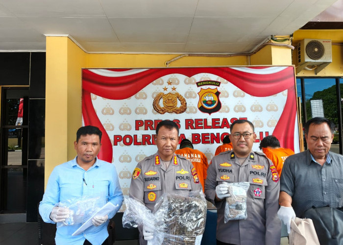 Polresta Bengkulu Tangkap Tiga Pria Terkait Narkoba, Salah Satunya Residivis dan Bandar Ganja