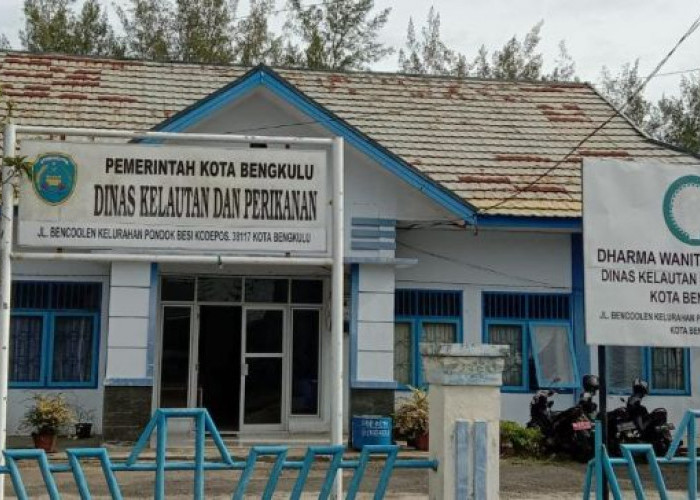 DKP Kota Bengkulu Targetkan Sumbang PAD Rp200 Juta dari Sektor Perikanan pada 2026