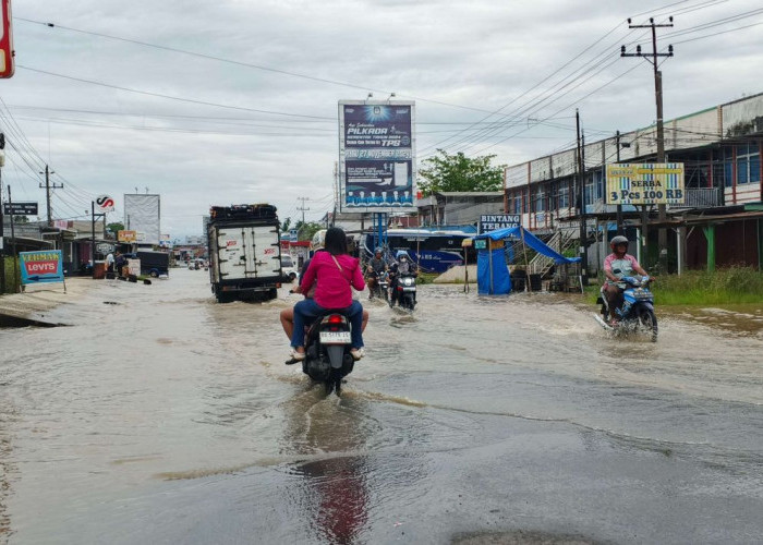 Hujan Semalaman, Puluhan Titik di Kota Bengkulu Terendam Banjir