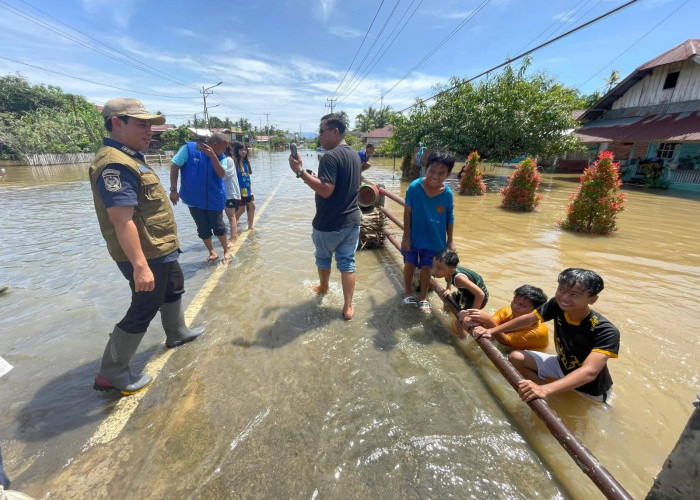 Wali Kota Bengkulu Tinjau Lokasi Banjir, Siapkan Normalisasi Sungai hingga Peninggian Jala