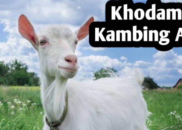 Kekuatan Khodam Kambing Air, Penjaga Kestabilan Karir