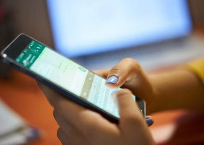 Ingin Dapat Cuan Dari WhatsApp? Coba Ikuti 7 Cara Berikut