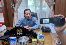 Dorong Optimalisasi Pajak Lampu Jalan di Kota Bengkulu, DPRD Nilai Potensi PAD Masih Bisa Meningkat