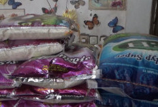 Modal dari Distributor Naik, Pedagang di Pasar Purwodadi Terpaksa Jual Beras Premium di Atas HET