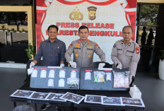 Operasi Antik Nala 2026, Polresta Bengkulu Bongkar 7 Kasus Narkoba dan Amankan 11 Tersangka