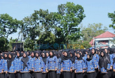 Status Jadi ASN, Gaji PPPK Paruh Waktu di Bengkulu Selatan Masih Setara Honorer