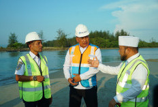 Proyek Pengerukan Pulau Baai Molor dari Target, Masalah Kontrak Jadi Ganjalan PT Pelindo