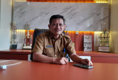 Siasati Lahan Tidur, Pemkab Mukomuko Godok Skema Pola Tanam Lima Kali Padi dalam Dua Tahun