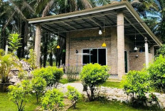 Viral Hunian Untuk Gen Z yang Ingin Hidup Santai, Makan 3 Kali Sehari Tanpa Perlu Kerja 