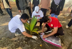 Gotong Royong Pantai Panjang, Wali Kota Bengkulu Tekankan Perawatan Kelapa