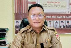 Pilkades Mukomuko, Surat Suara Tunggu Penetapan Calon Tetap