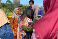 Aksi Heroik Warga Pino Gagalkan Percobaan Bunuh Diri Pelajar SMP di Jembatan Tanjung Cermin