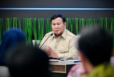  Presiden Bentuk Badan Gambut dan Mangrove Perkuat Pencegahan Karhutla
