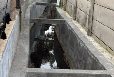 Pemkot Bengkulu Benahi Drainase RT 13 Kandang Limun, Upayakan Aliran Air Lebih Lancar