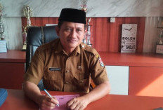 86 Ton Benih Padi Gratis Segera Tiba di Mukomuko, Sasar 3.443 Hektare Sawah