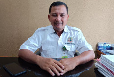 BKSDA Ungkap Status Baru, Aktivitas Perambahan Ramai di Eks TWA Pantai Panjang