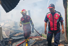 Kebakaran Hebat Landa Gang Damai Pengantungan Bengkulu, Sejumlah Rumah dan Bedengan Terbakar