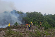 Hadapi Dampak El Nino, Kementerian PU Tangani Karhutla dan Kekeringan di 3 Provinsi