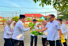 Pemprov Bengkulu Dorong OPD Sulap Lahan Kantor Jadi Kebun Produktif, Dinas Ketahanan Pangan Jadi Percontohan