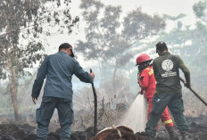Karhutla Tak Kunjung Padam Sejak Agustus, Pemerintah Kerahkan Satgas Darat dan Udara