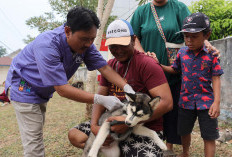 Gencarkan Vaksinasi Rabies, Cegah HPR