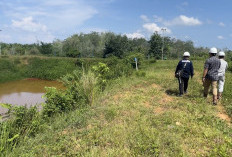 DLH Seluma Tantang PT SSL Lepas Ikan di Kolam Limbah Terakhir
