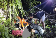 Penemuan Mayat di Area Sawit Desa Kota Praja, Diduga Pencari Brondolan Asal XIV Koto