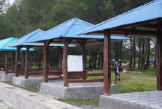 Pemkot Bengkulu Pastikan 30 Gazebo di Pantai Panjang Gratis 