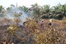 Lahan 700 Meter Terbakar di Ujung Padang, Kapolres Mukomuko Warning Warga Tak Bakar Lahan