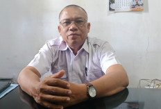 Dinas Perkebunan Bengkulu Utara Kejar Target Pendataan 1.500 Hektare Lahan Kelapa di Enggano