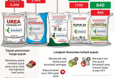 Pemerintah Menurunkan Harga Eceran Tertinggi (HET) Pupuk Bersubsidi Hingga 20 Persen