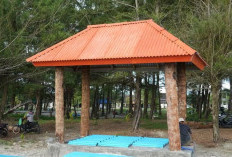 Pemkot Bengkulu Siapkan 120 Gazebo Gratis, Percantik Kawasan Wisata Pantai Panjang