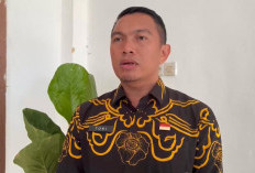 Dishub Bengkulu Tegaskan Tarif Parkir Festival Tabut 2026 Sesuai Perda, Jukir Nakal Terancam Sanksi
