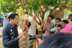 Target 2026 Tuntas, Bupati Kaur Perintahkan Satpol PP Sikat Ternak Liar