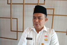 Disnakertrans Bengkulu Ungkap Mekanisme Pendataan TKA di PLTU TLB