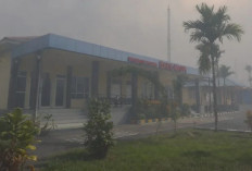 Kabut Asap Karhutla Ganggu Penerbangan, 16 Bandara di Papua Terdampak