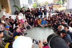 Hari Tani Nasional, Petani Bengkulu Desak Pemerintah Tuntaskan Konflik Agraria