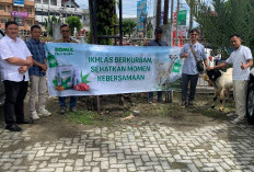 Tebar Kebaikan di Idul Adha, Komix Herbal Serahkan Hewan Kurban ke Bengkulu Ekspress Media Group