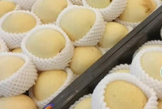 Segudang Manfaat Buah Pir, Rahasia Pencernaan Lancar dan Diet Sehat